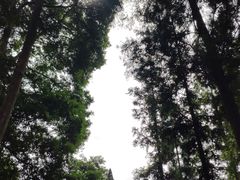 -都江堰普照寺
