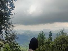 -莫干山风景区