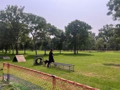 -北京京卫宠物寄养训练中心