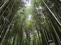 -竹泉村旅游度假区