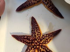 -青岛银沙滩