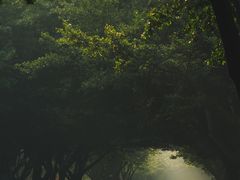 -四川大学(望江校区)