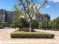 -南京航空航天大学(将军路校区)