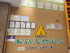 -半岛宠物医院24小时·内窥镜·牙科·碎石中心(府城大道店)