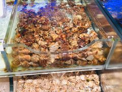 -盒马鲜生(岭南新世界店)