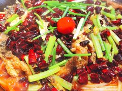 老板恋上鱼-老板恋上鱼(高新万达店)