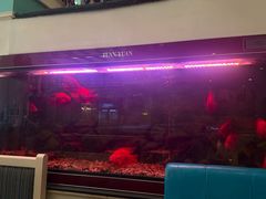 -阿拉丁新疆风味餐厅·清真(罗廊巷店)