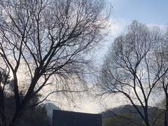-九如山休闲旅游度假区