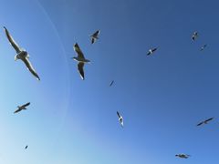 -海埂大坝