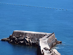 -小麦岛公园