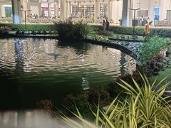 -班达拉奈克国际机场