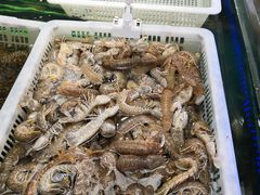 -盒马鲜生(大成店)