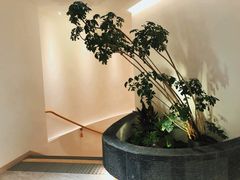 -手佳按摩·足疗·艾灸(博物院中山陵店)