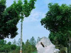 -东营·森林乐园