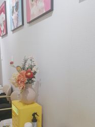 -洗脸猫·洗脸吧