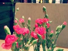 -必胜客(金开大道店)
