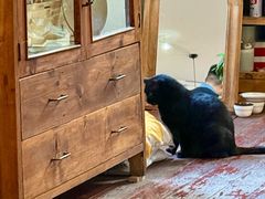 -春风十里咖啡馆