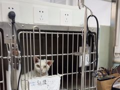 -达爱动物医院·犬猫分区·CT·复杂眼科(远洋山水分院)