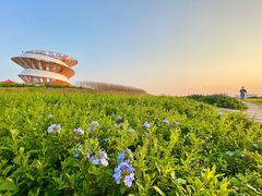 -光明小镇欢乐田园