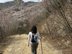 -北京凤凰岭