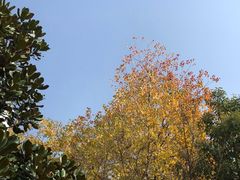 -天鹅湖体育公园