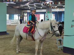 -骑乐马术(广州奥体优托邦中心)