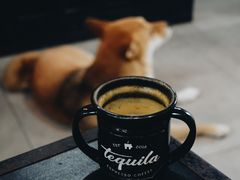 piccolo-Tequila Espresso(嘉善路店)