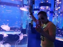 -石林冰雪海洋世界