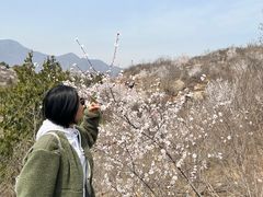 -白水寺森林公园