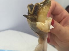 旅南活海鮮-旅南活海鲜-屏东(墾丁海鮮，海鮮餐廳，墾丁團體合菜，平價熱炒，墾丁熱炒店，活海鮮推薦，在地海鮮餐廳)