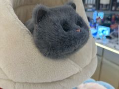 -鹰巢数码·EAGLE’S NEST(SKP店)