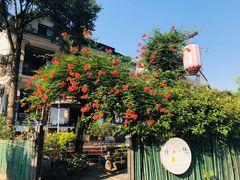 -树山生态村