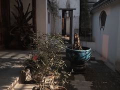 -月栖华明-云间草堂清茶馆(泗泾古镇店)
