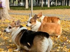 -西北湖绿化广场