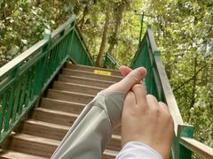 -西双版纳原始森林公园