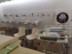 -海豚湾高端月子会所(黄浦店)