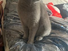 -布瑞琳洗衣(万柳书院店)