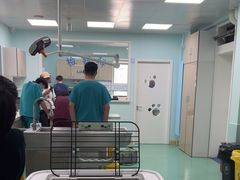 -北京观赏动物医院·24小时大型综合·猫专科·异宠专科