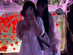 -常州海昌海洋探索馆