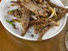 -芦茨金富饭庄·25年老字号·专做稻草鸡