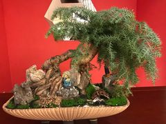 -松鹤楼(狮山永利广场店)