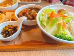 红烧牛腩饭-仙踪林(北展店)