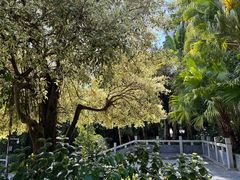 -深圳国际园林花卉博览园