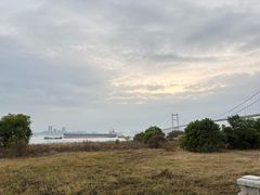 -南山文体中心-游泳馆