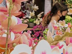 -双季花艺园艺市场(浦东店)