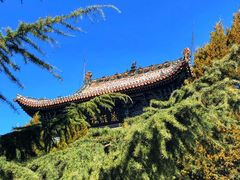 -迎泽公园