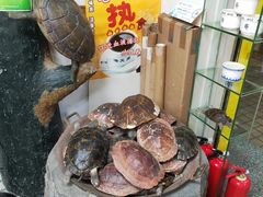 -海天堂(玉带濠店)