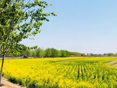 -天津武清北运河郊野公园房车露营地