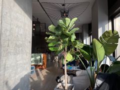 -The Rug Cafe(王府中环店)