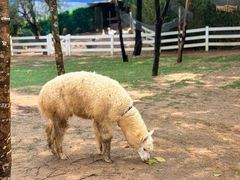 -云栖山谷露营地·团建年会·生日派对